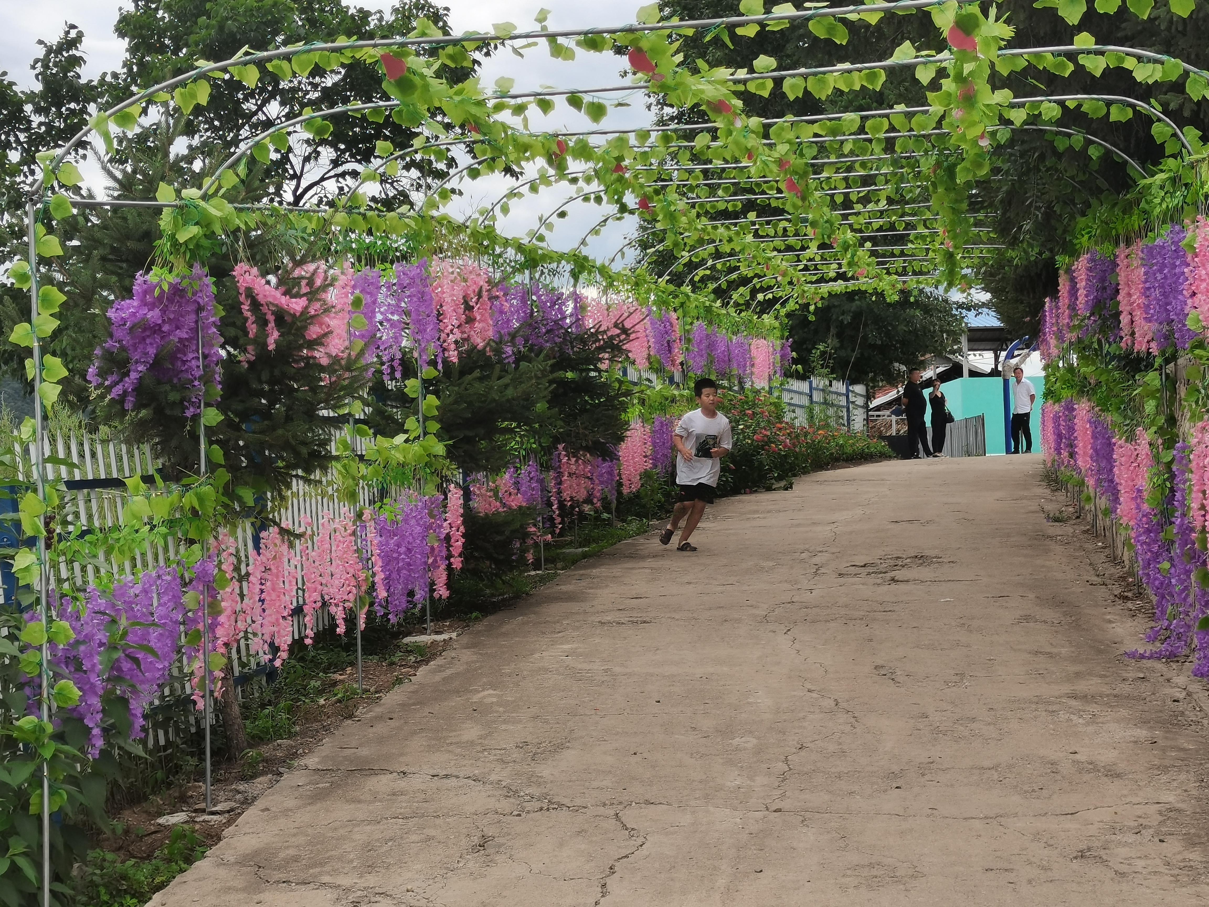 汪清县春阳镇开展"三园,两美,一景观"游走会-中国吉林网