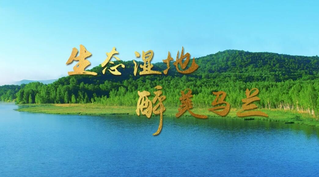 生态湿地 最美马兰.jpg