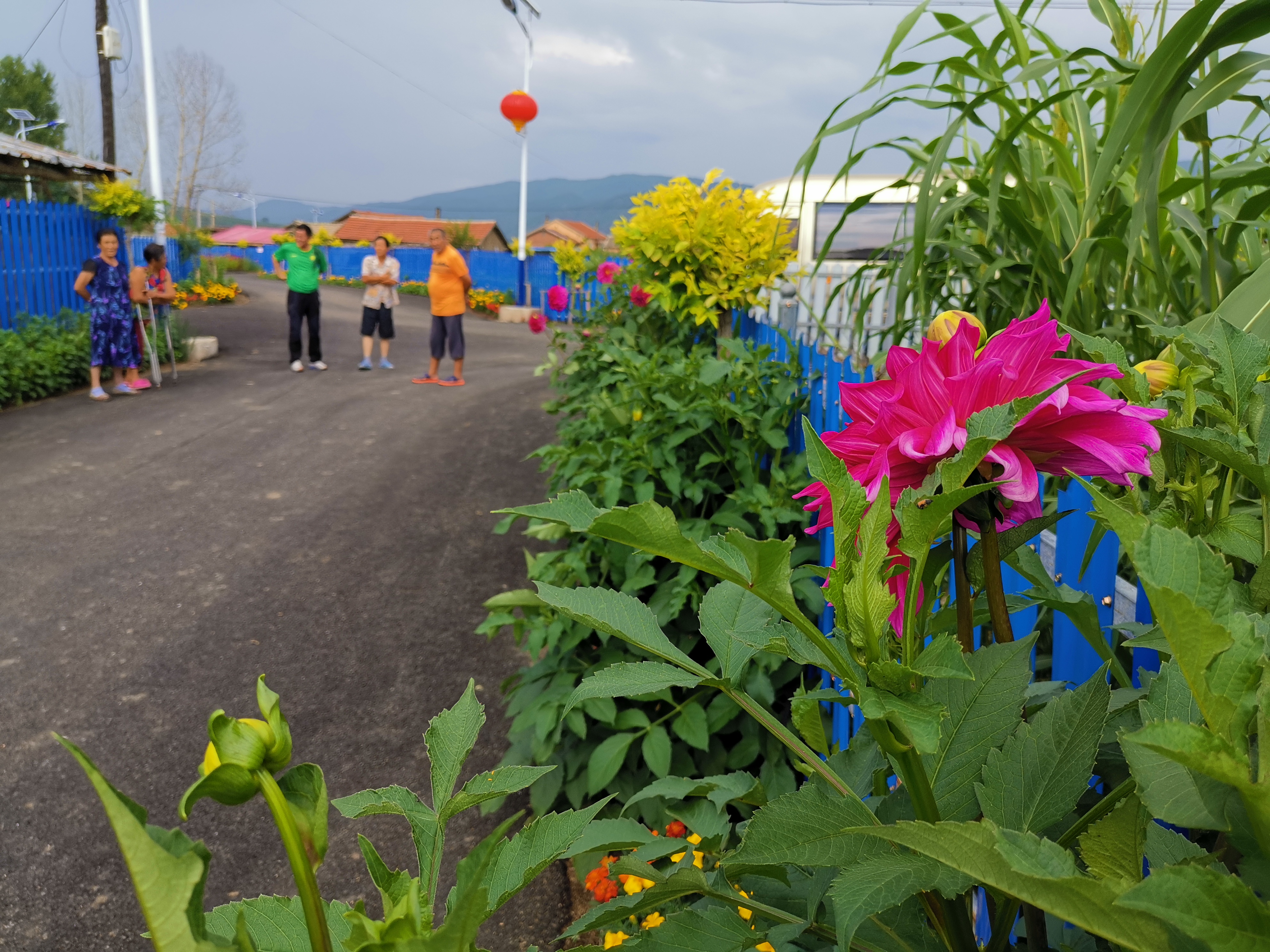 保护绿水青山 打造最美故乡——汪清县罗子沟镇美丽乡村建设纪实