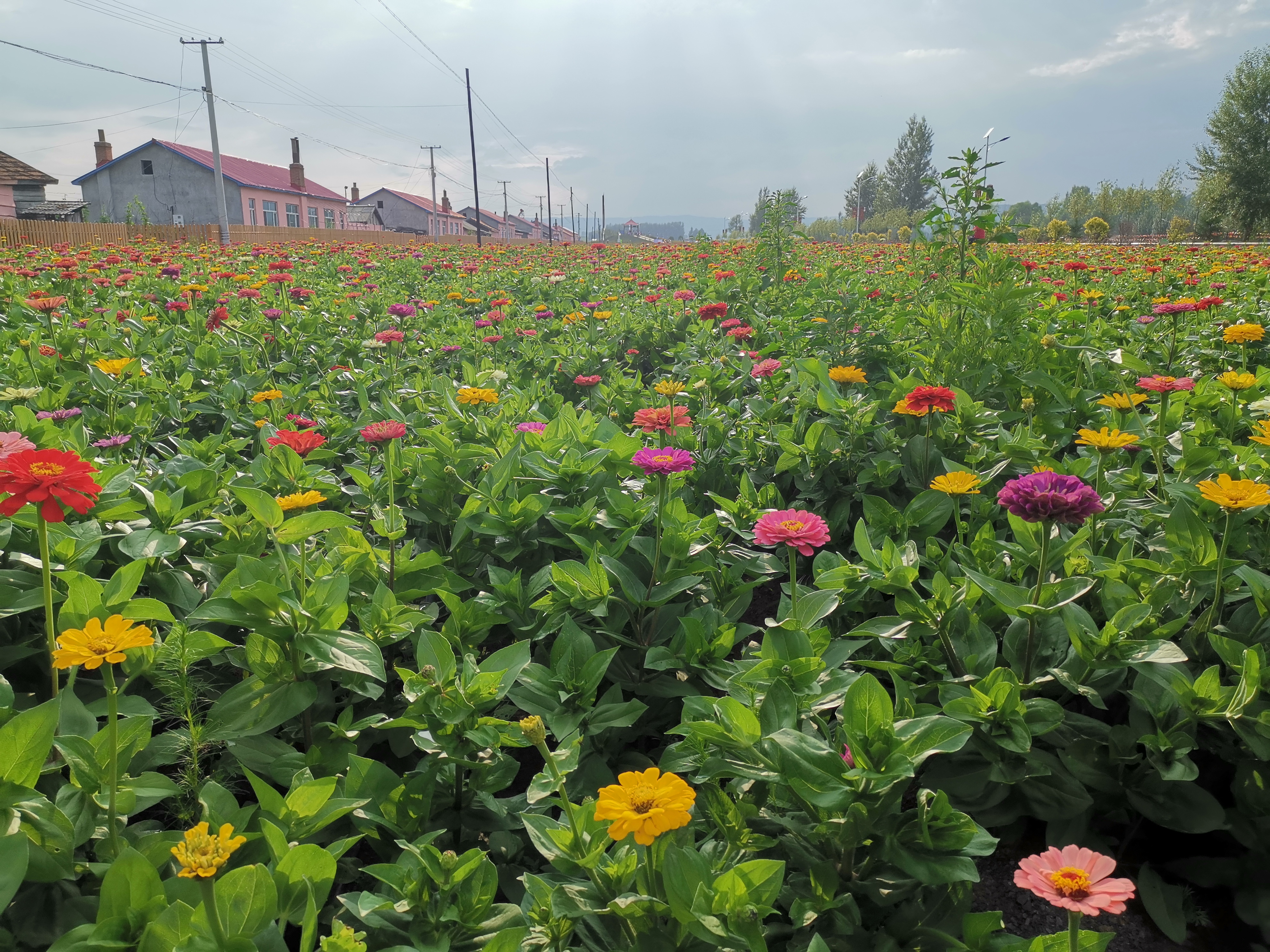 保护绿水青山 打造最美故乡——汪清县罗子沟镇美丽乡村建设纪实