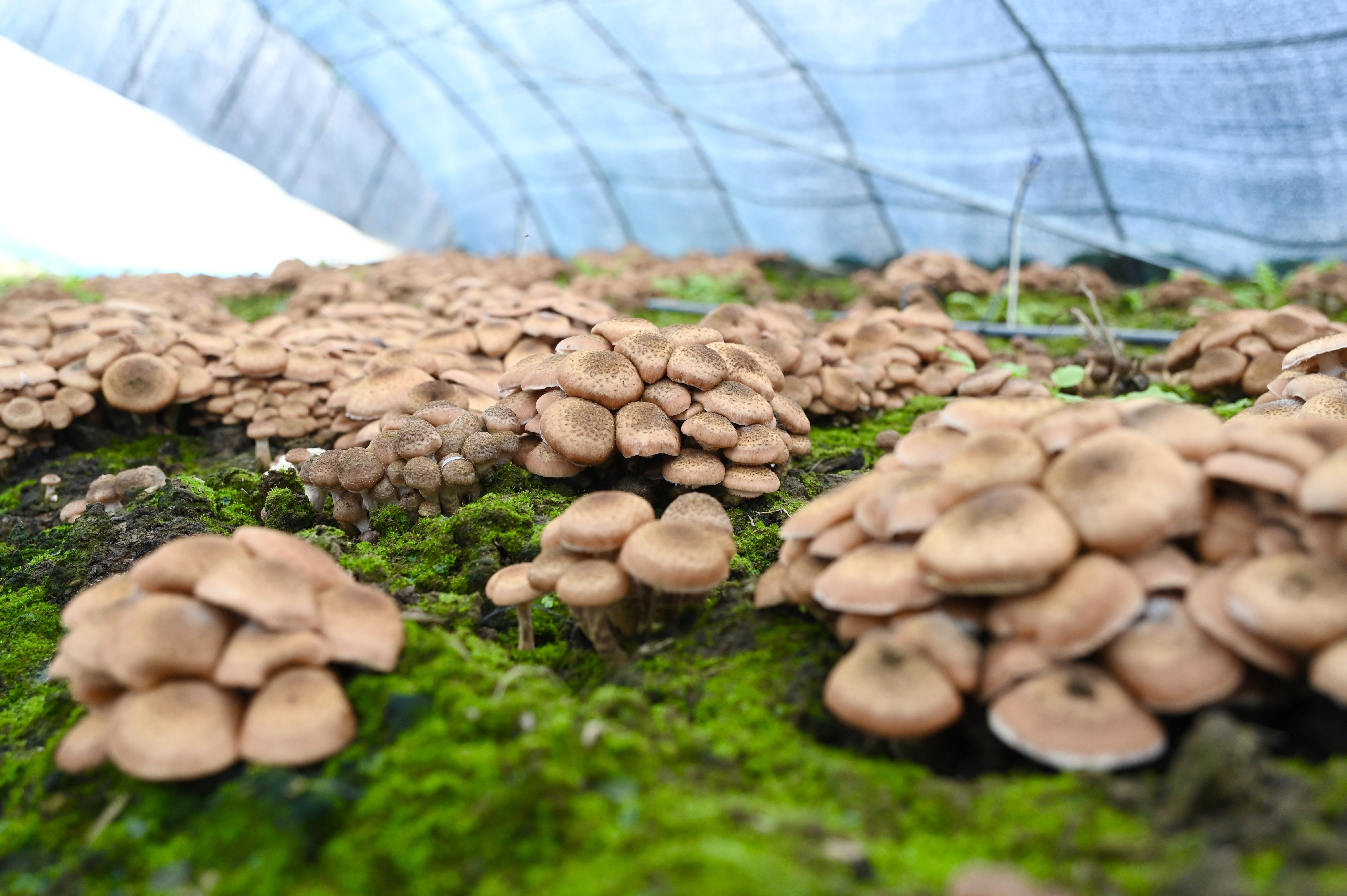 image_1760082439160.jpg
