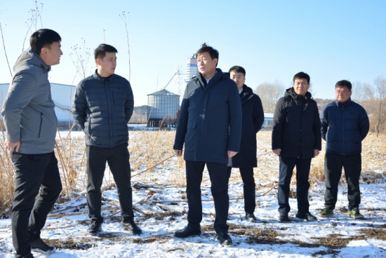 mmexport1764750229408.jpg mmexport1764750229408.jpg